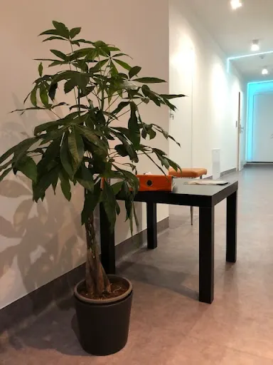 Strefa Balansu Centrum Rehabilitacji Obara